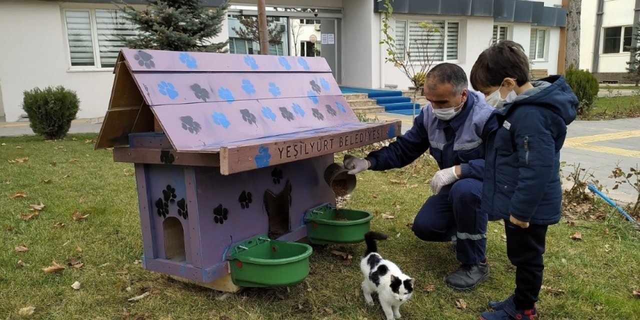 Yeşilyurt’ta Sokak Hayvanları İçin Kedi Ve Köpek Evler Projesi
