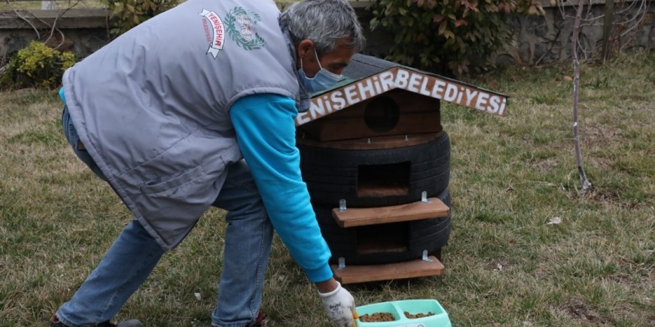 Yenişehir Belediyesi Çöp Konteynırı Üretiminde Sonra Kedi Evi Yapmaya