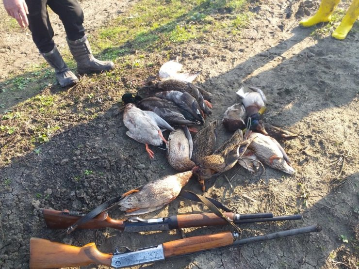 Öğretmenden Kuş Cenneti’nde Ördek Katliamı