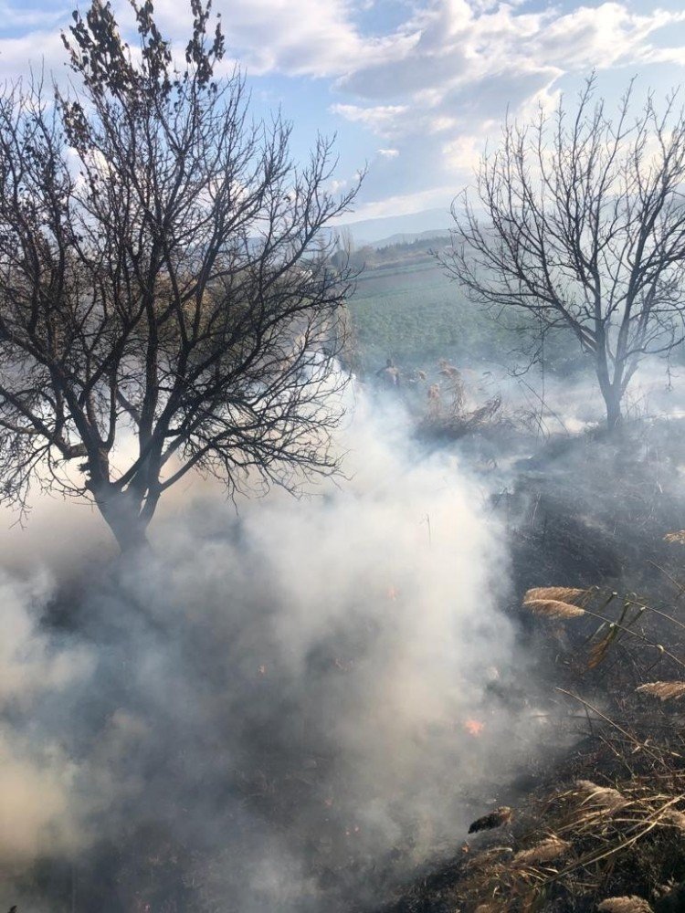 Burhaniye’de Arazi Yangınını İtfaiye Söndürdü