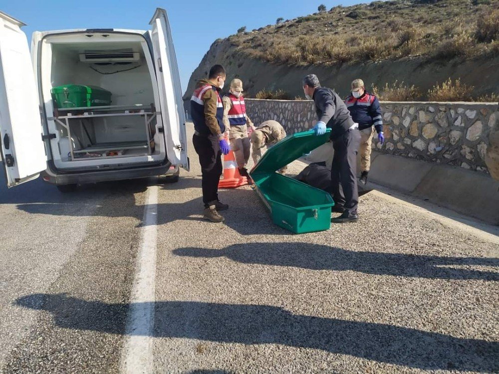 Hatay’da Yol Kenarında Ceset Bulundu