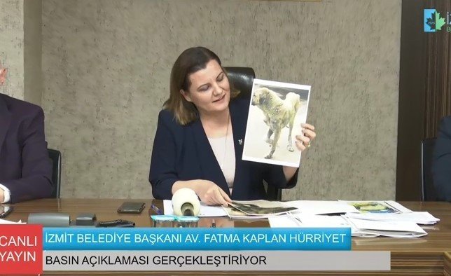 İzmit Belediye Başkanı Hürriyet Sokak Köpeklerinin Ölümü İle İlgili Konuştu