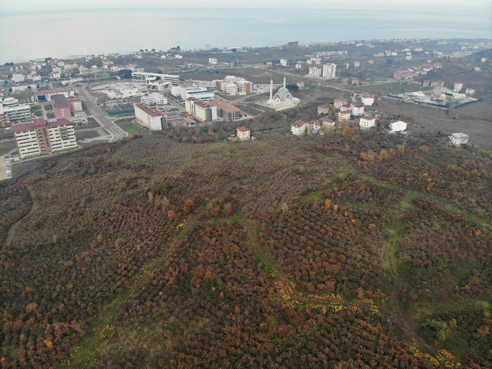 Ordu’ya Yapılacak Bin Yataklı Şehir Hastanesinin Yeri Havadan Görüntülendi