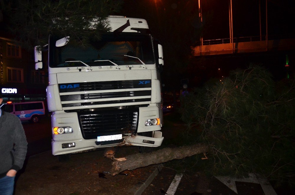 Samsun’da Kontrolden Çıkan Tır Ağaca Çarptı