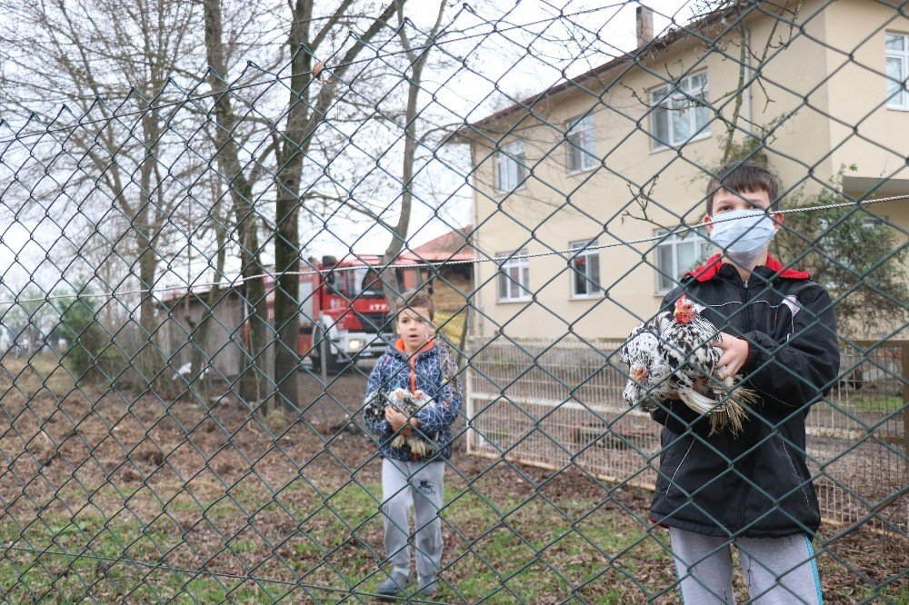 Kazan Dairesi Patladı, Yaptıkları İlk İş Kümesten Tavukları Kurtarmak Oldu