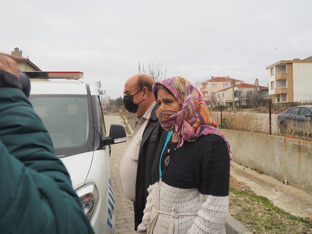 Edirne’de Bir Köpek Ölü Olarak Bulundu