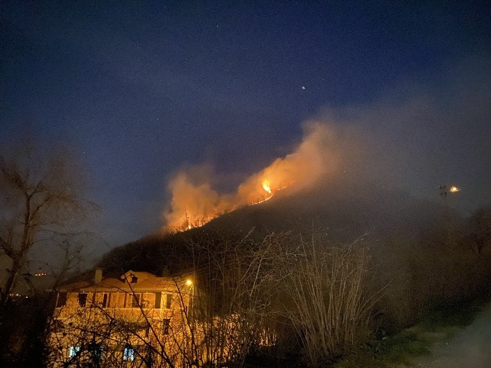 Ordu’da Ormanı Yangını