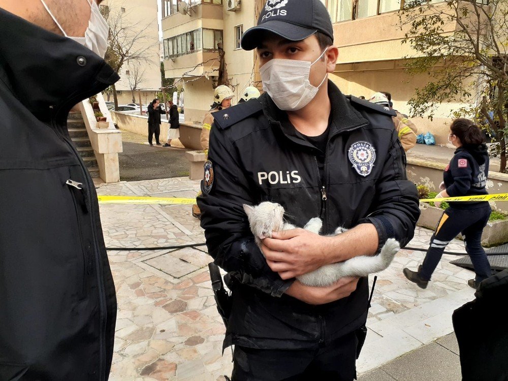 Yangında Mahsur Kalan Yavru Kediyi Polis Memuru Kurtardı