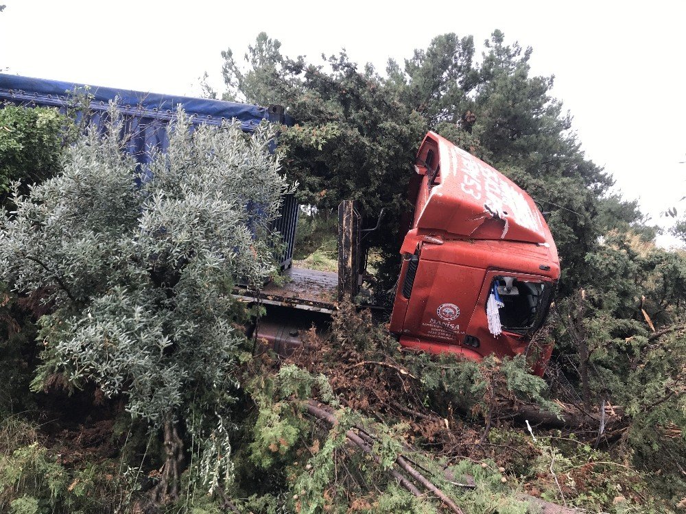 Kuşadası’nda Tır Tarlaya Uçtu