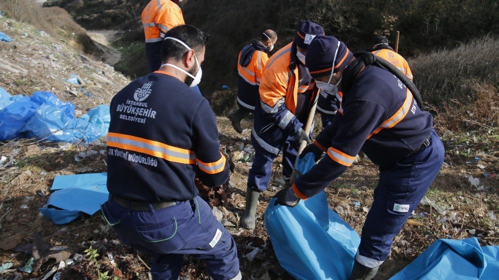 İha’nın Haberi Ses Getirdi: Çöp Dağı Temizlendi