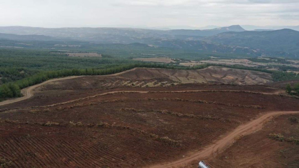 Denizli’de Endüstriyel Plantasyon Sahası Hazırlığı Başladı