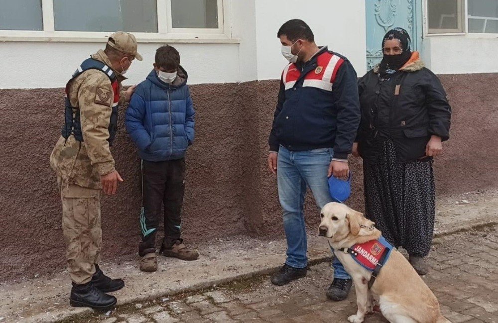 Kayıp Çocuğu 6 Saat Sonra İz Takip Köpeği Buldu