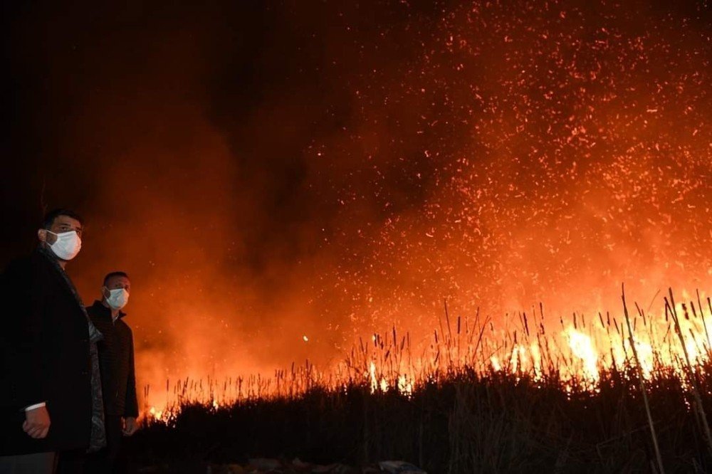 Kocaeli’de Askeri Arazi Yakınındaki Sazlık Alan Alev Alev Yandı