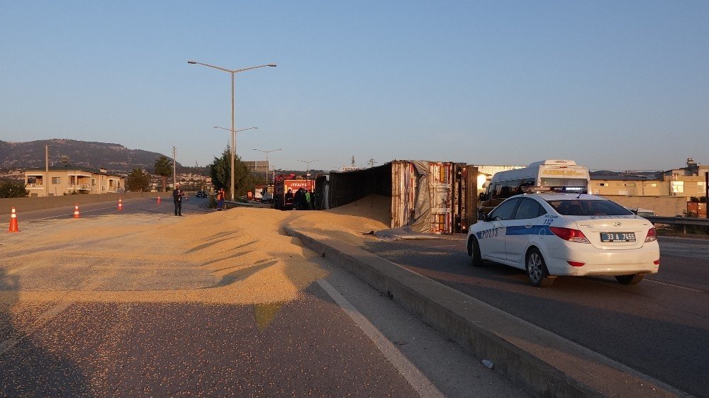 Virajı Alamayan Tır Devrildi, Tonlarca Mısır Yola Savruldu