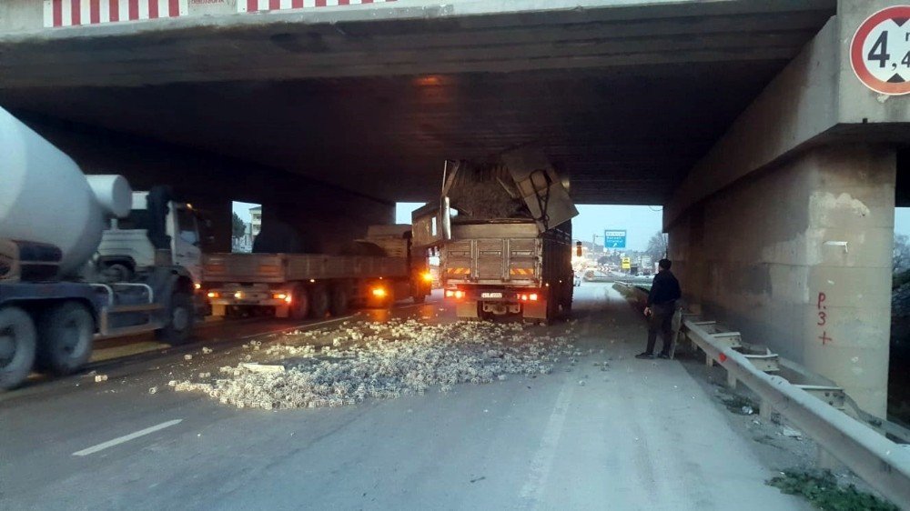 Kamyon Sürücüsü Yüksekliği Hesap Edemeyince Kaza Kaçınılmaz Oldu