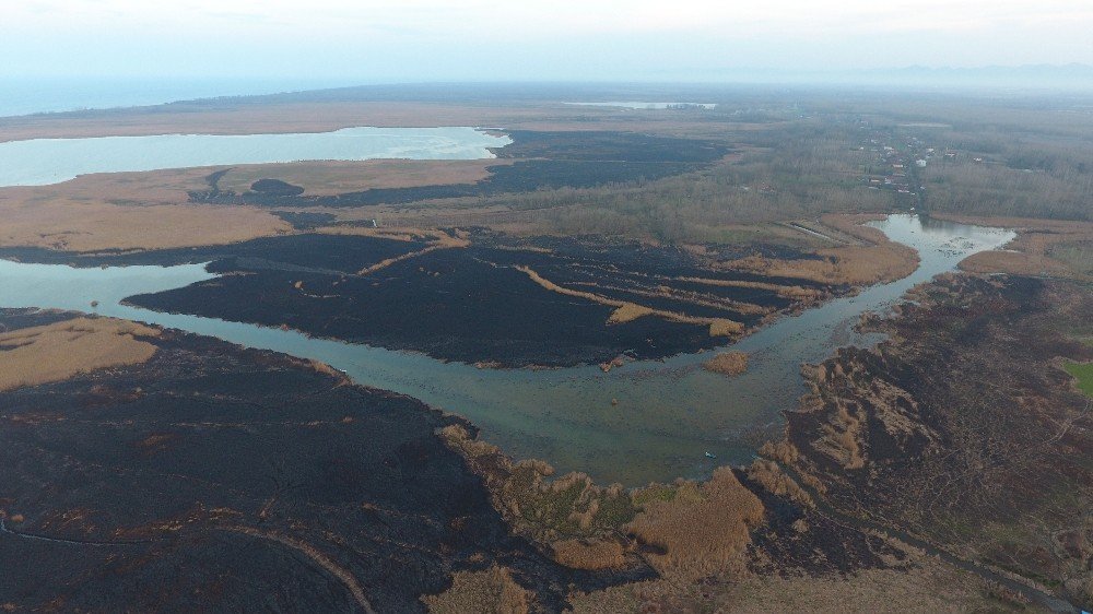 Samsun’da 4 Gün Süren Sazlık Yangını