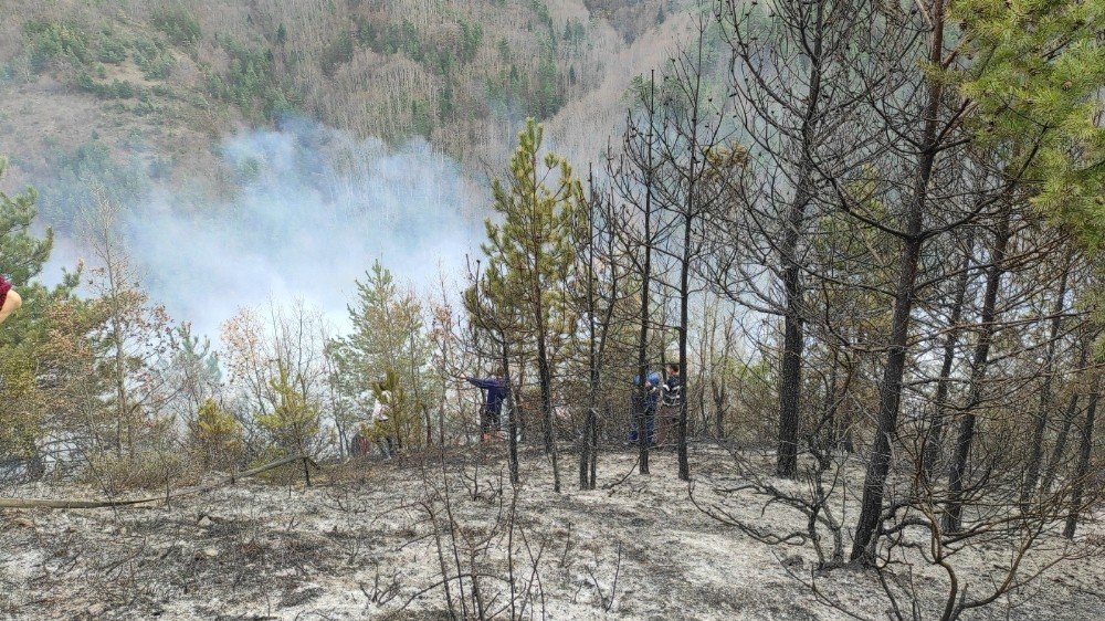 Fındık Bahçesinde Yakılan Anız Ormana Sıçradı, Yangına Müdahale Ediliyor