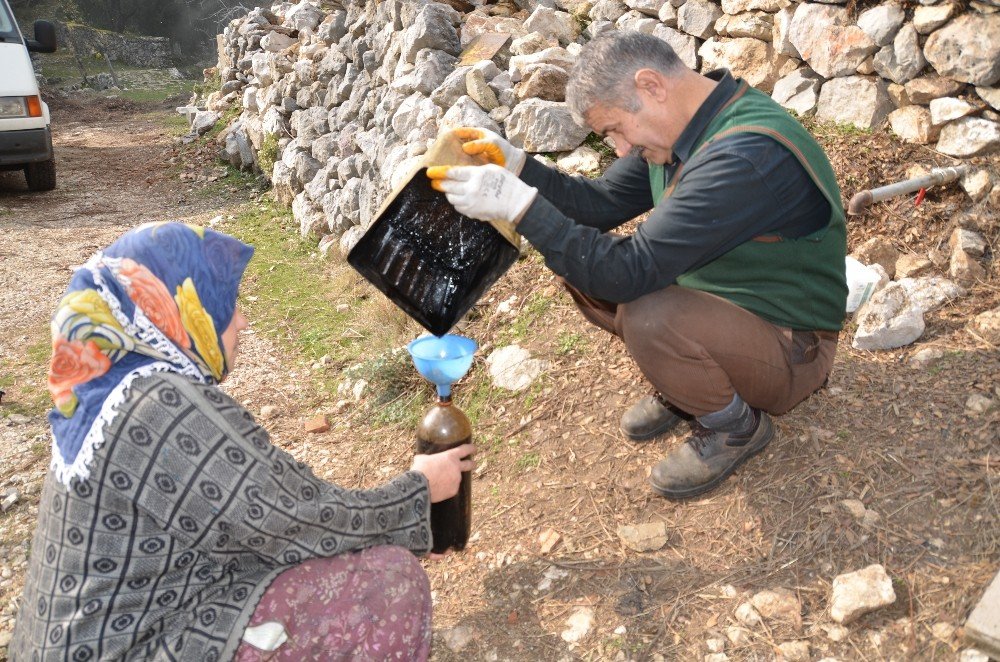 Her Derde Şifa Katran Yağı Yok Satıyor