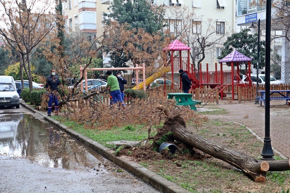 Antalya’da Hortum Ağaçları Kökünden Söktü, Çatıları Uçurdu