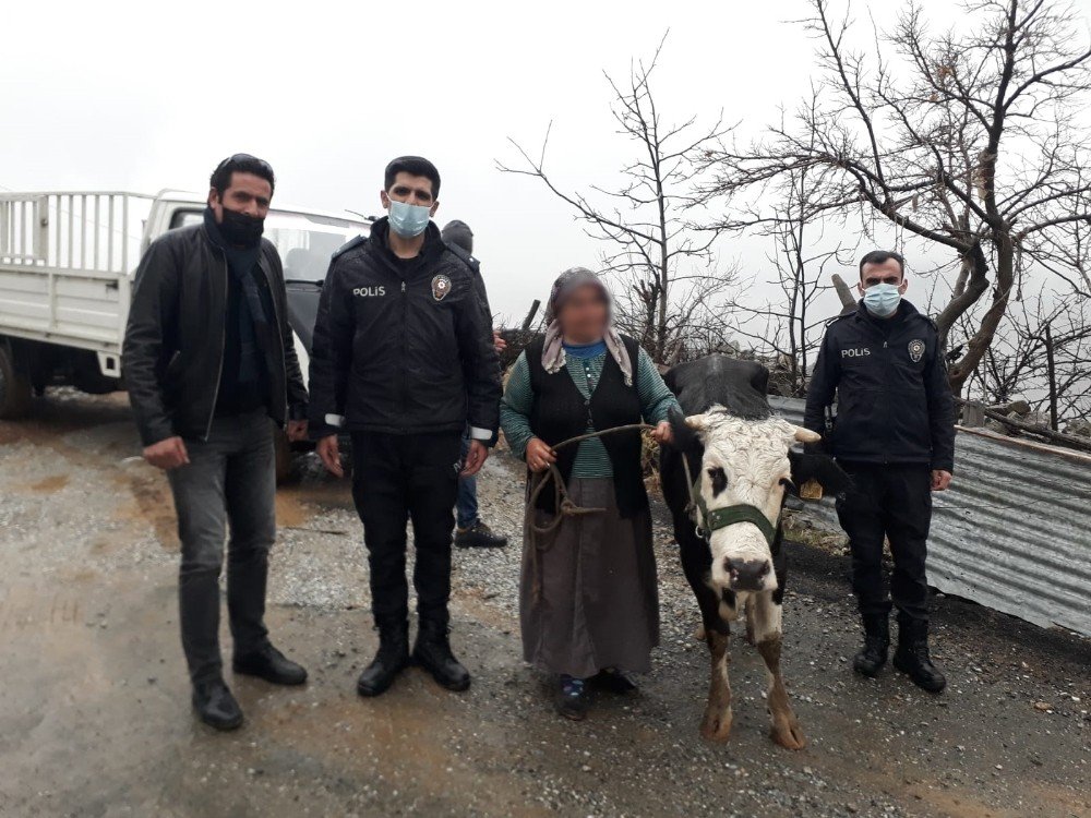 Hayvanı Çalınan Teyzenin Yüzünü Polis Güldürdü