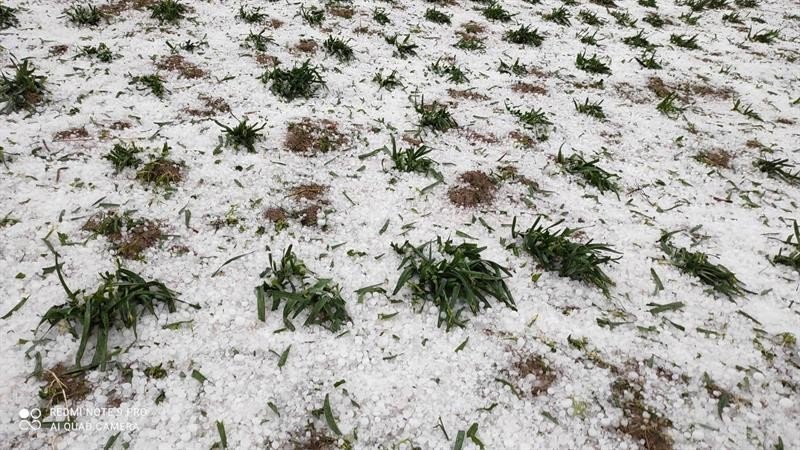 Şiddetli Dolu, Tarsus’ta 610 Dekarlık Tarım Arazisine Zarar Verdi