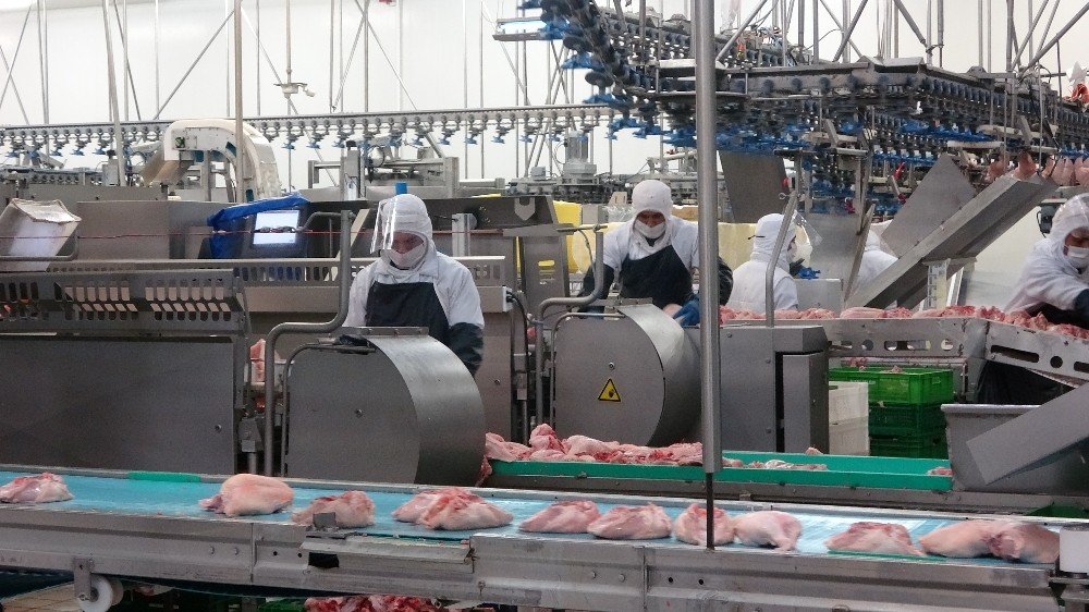 Kanatlı Sektörü Salgının İzlerini Silmeye Çalışıyor