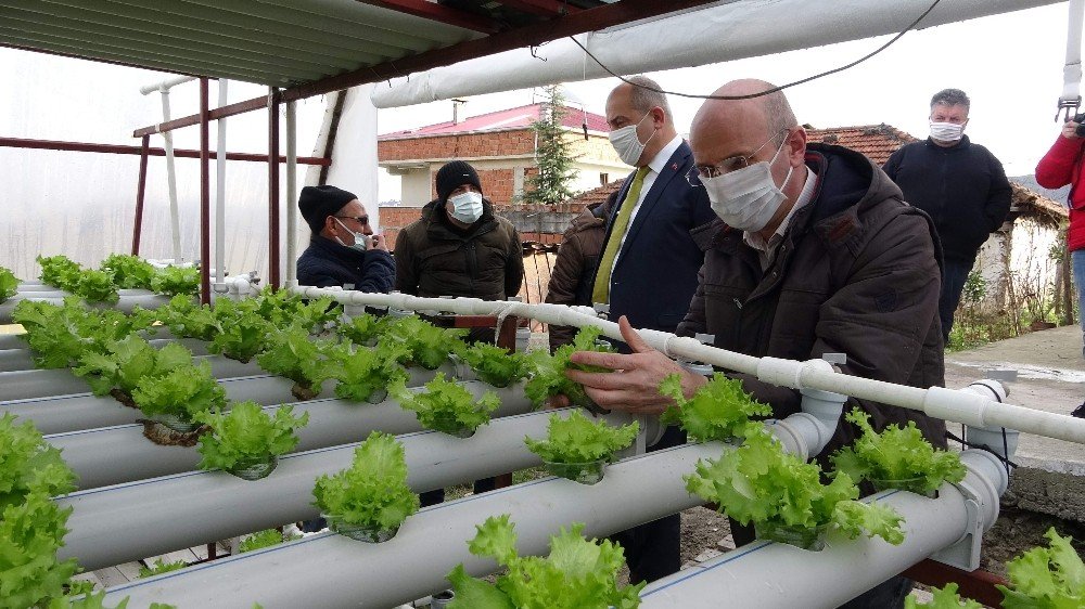 Doğu Karadeniz’de Topraksız Tarım Dönemi