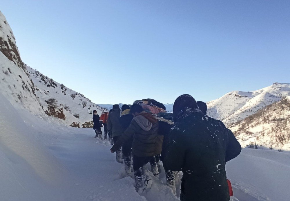 Çığ Bölgesinde Can Pazarı