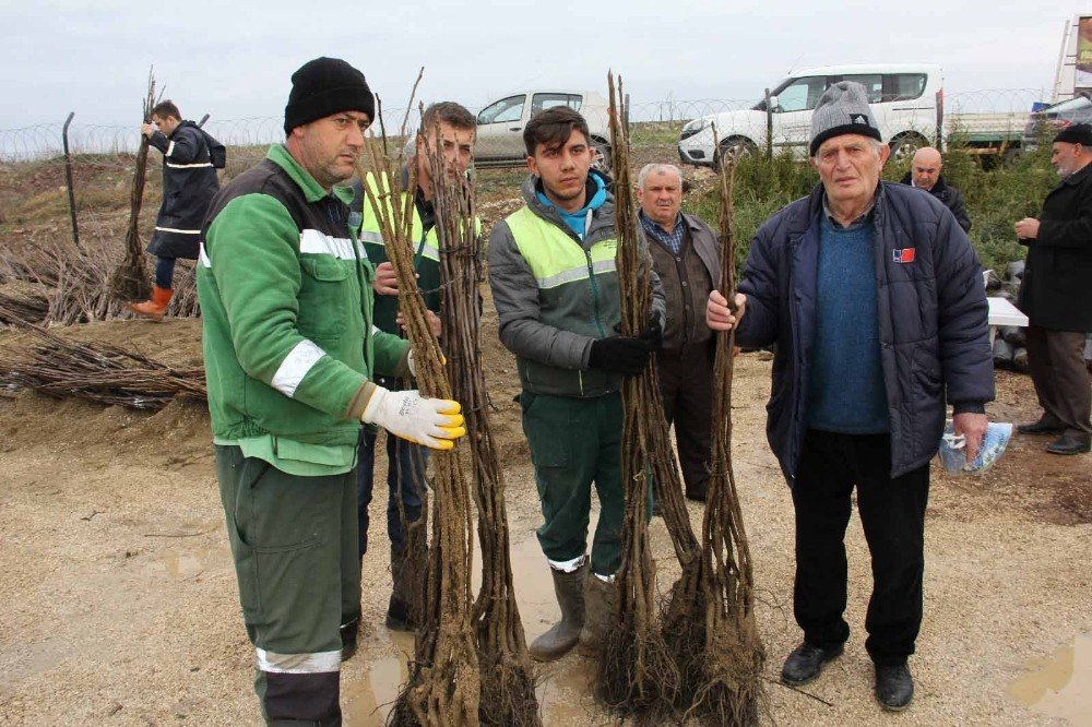 Kocaeli’de Tarım Ve Hayvancılığı Milyonluk Destek