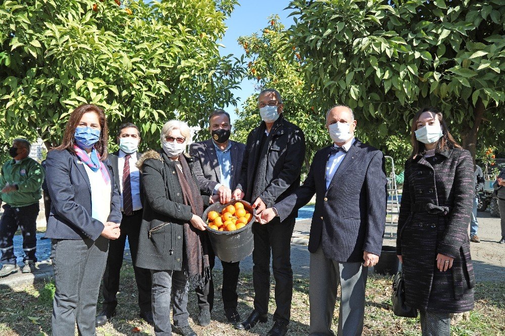 Mersin’de Turunçlar Salata Sosu Olarak Ekonomiye Kazandırılacak