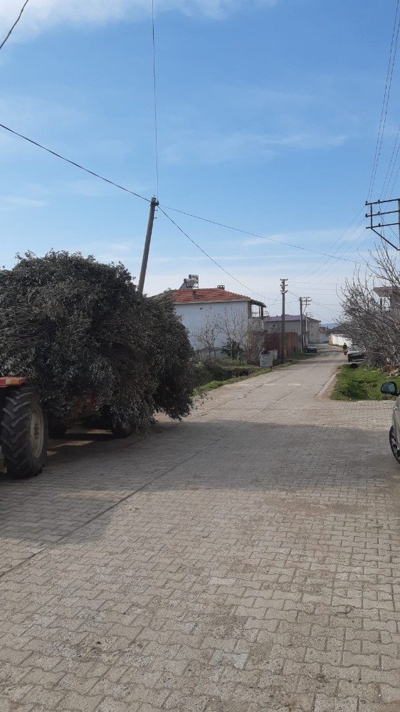 Burhaniye’de Bir Mahalleye Kısmi Karantina