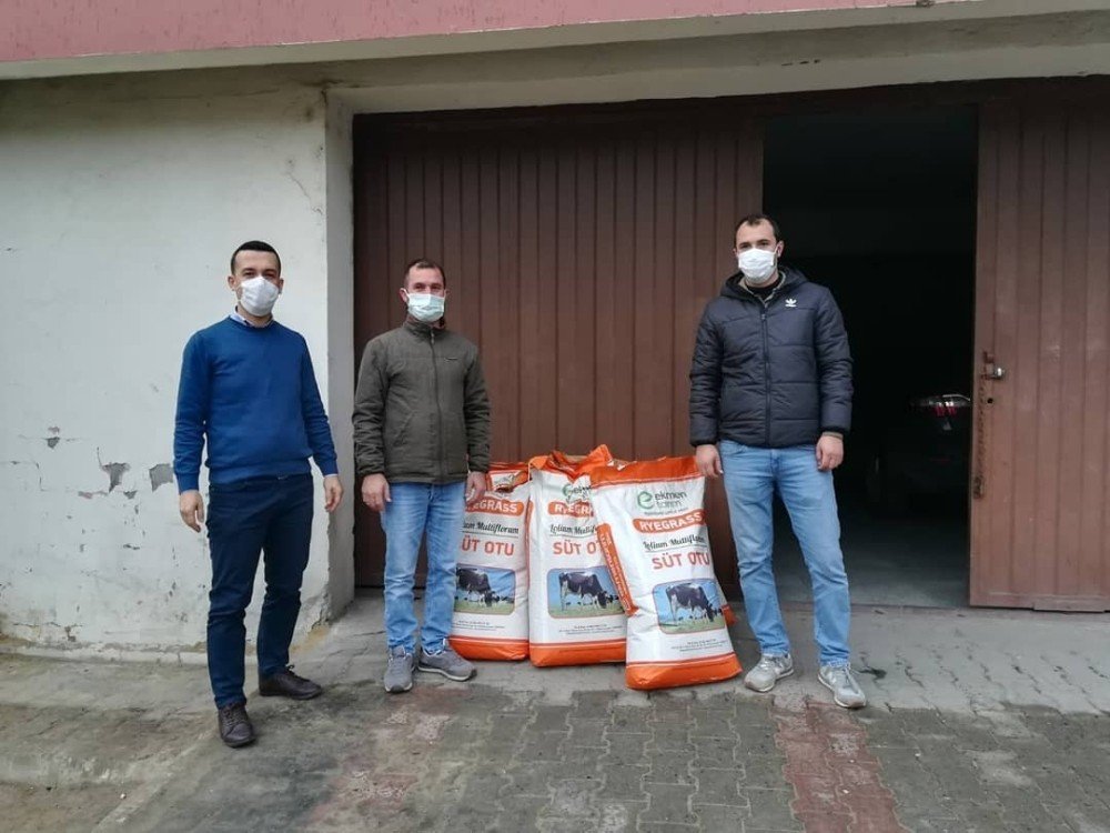 Çiftçilere 250 Kilogram İ̇talyan Çim Tohumu Dağıtıldı