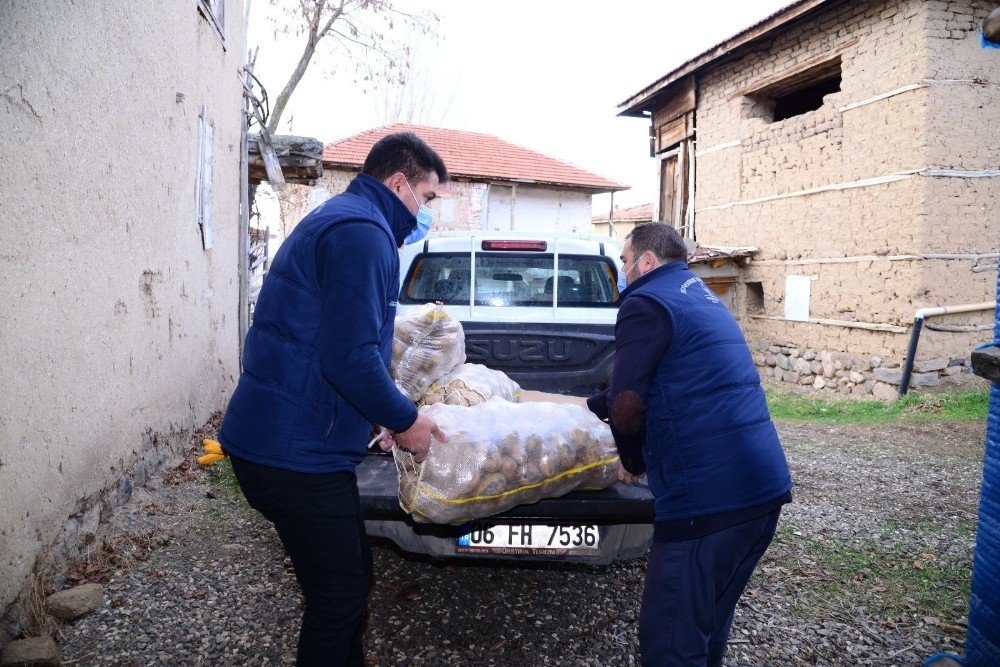 Kahramankazan Belediyesi Patates Üreticisinin İmdadına Yetişti