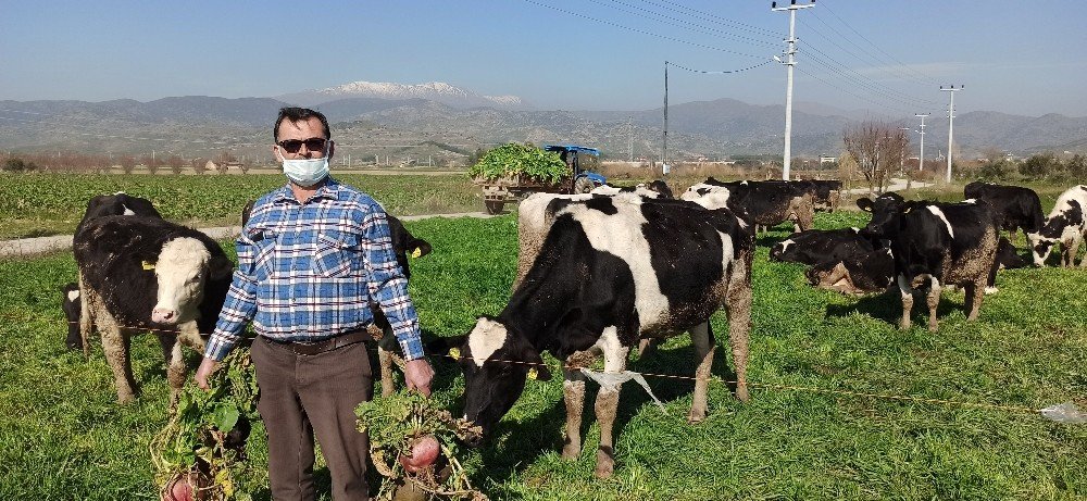 Üretici Maliyetten, Tüketici Komisyoncudan Şikayetçi