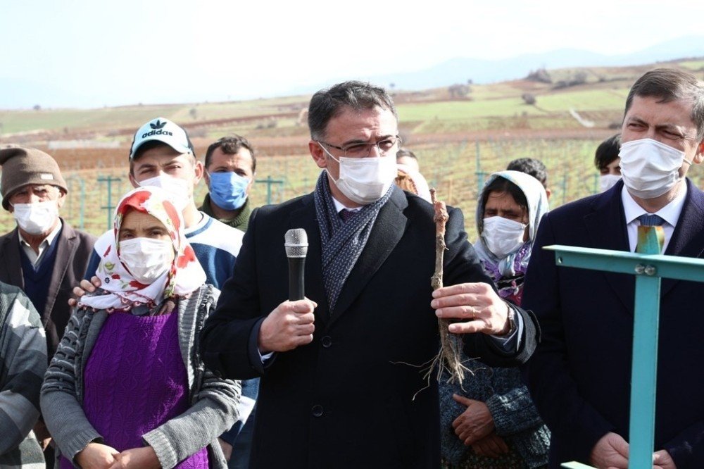 Tokat, Tarım Ve Tarımsal Sanayi Merkezi Olacak