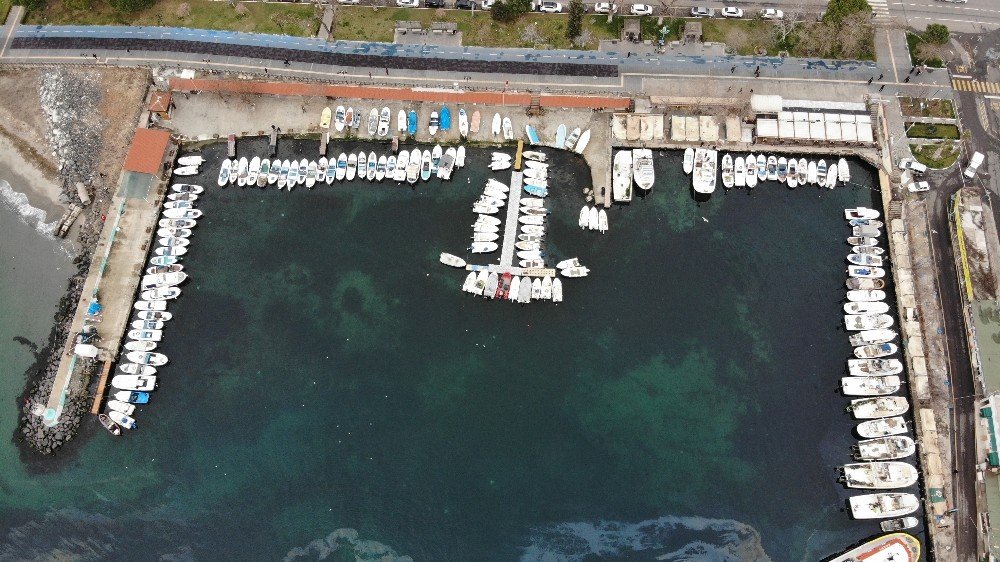 Marmara’da Balıkçıların Korkulu Rüyası 10 Yıl Sonra Geri Döndü