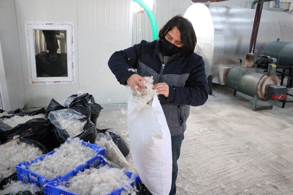 Yozgat’ta Üretilen Kaz Tüyü Avrupa’ya İhraç Ediliyor