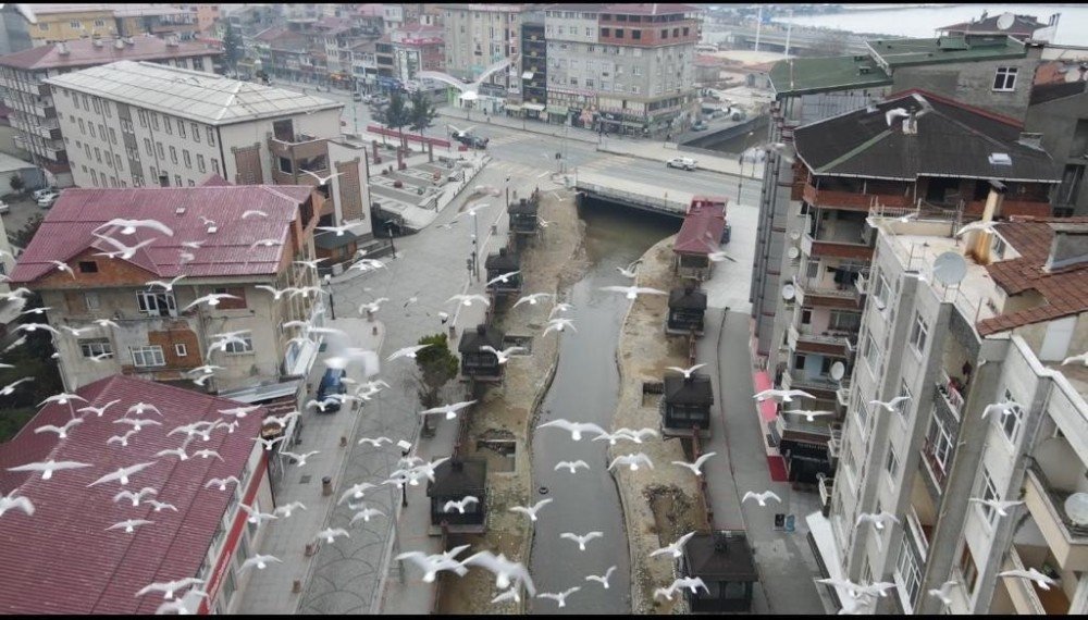 Rize’de Drone Denetimi Başladı