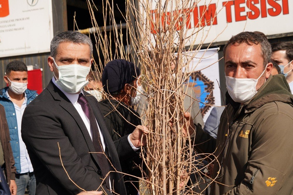 İ̇pek Böceği Üretimine Diyarbakır Büyükşehir Belediyesinden Destek