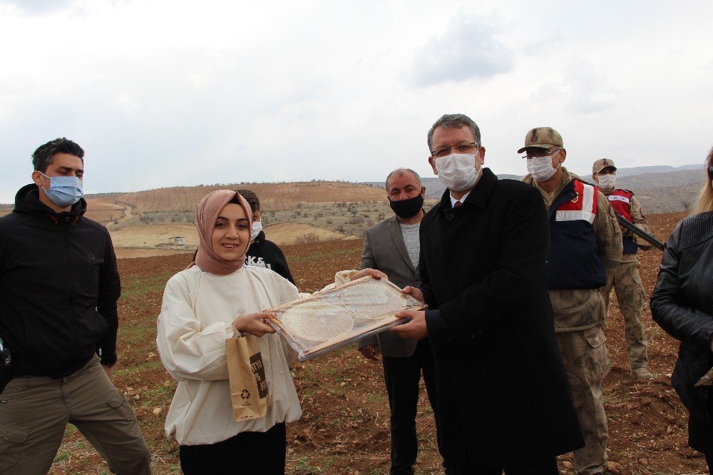 Devlet Desteği İle 40 Kovanla Başladı, Şimdi 300 Kovanı Var, Hedefi Ürettiği Balı Dünyaya Satmak