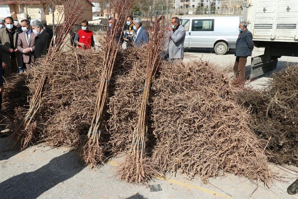 Elazığ’da "meyveciliği Geliştirme" Projesi, 13 Bin Fidan Dağıtıldı