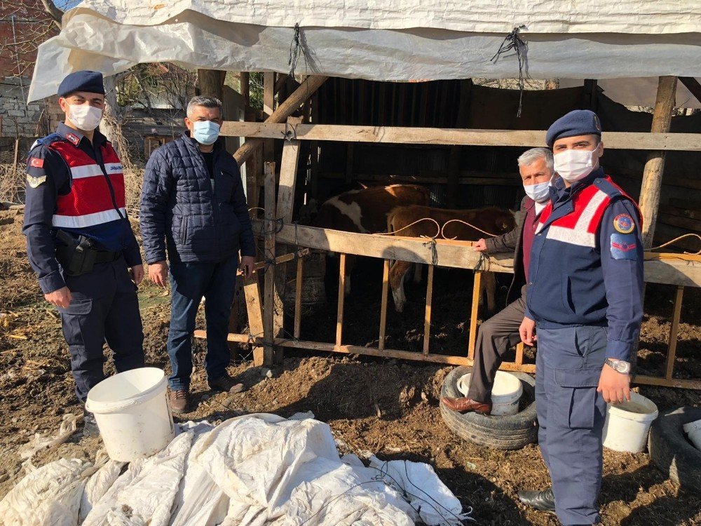 Bir Aydır Kayıp Olan Hayvanlarını Jandarma Drone İle Buldu