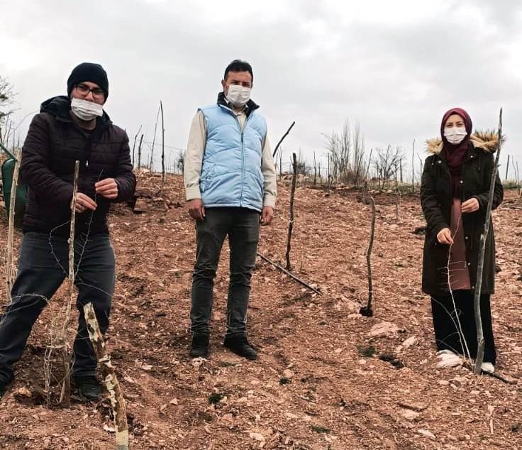 Hisarcık’ta Goji Berry’lerin Gelişim Ve Durumları İncelendi