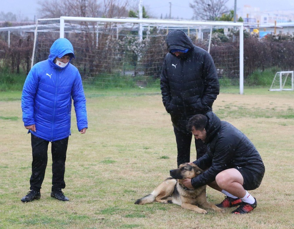 Sivasspor İdmanına Davetsiz Misafir