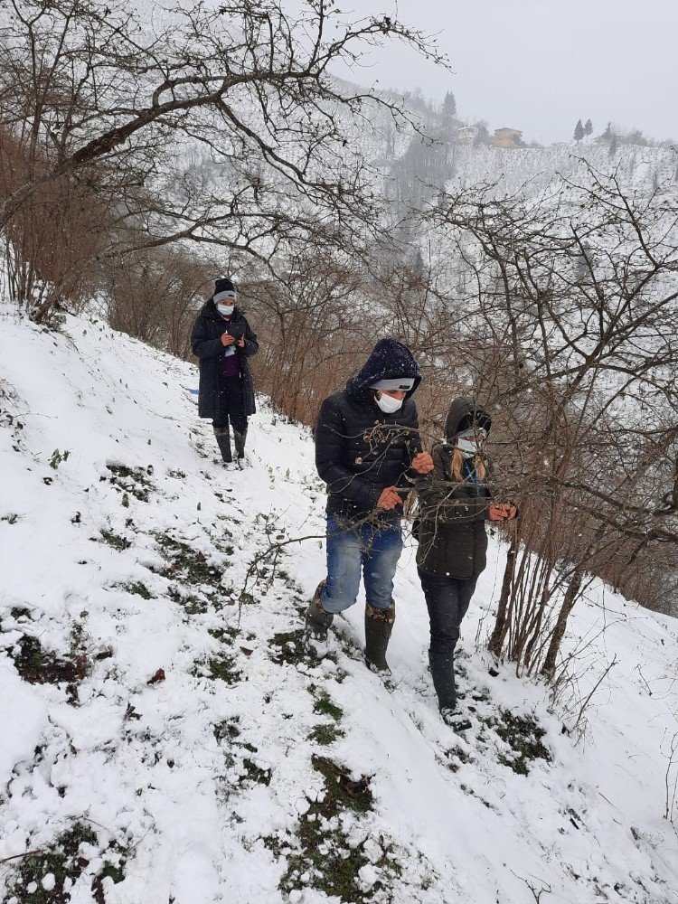 Fındıkta Zirai Don Tespiti İçin Çalışma Başlatıldı