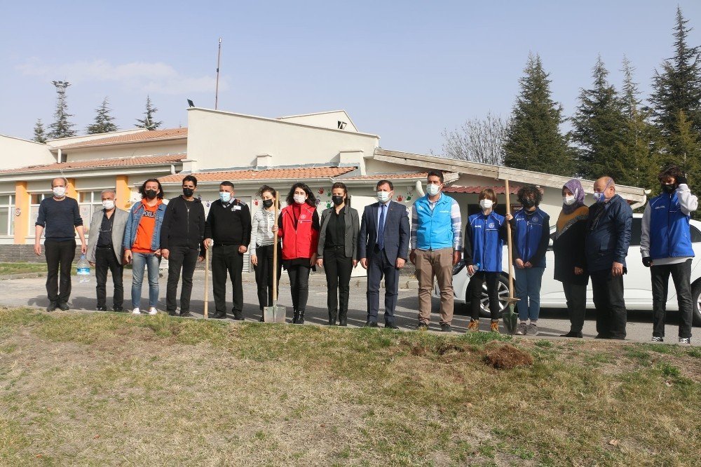 Kabakcı, Fidanları Nevruz’da Toprakla Buluşturdu