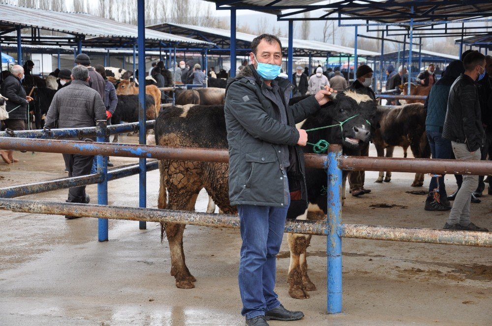 Simav’da Canlı Hayvan Pazarı Tekrar Açıldı