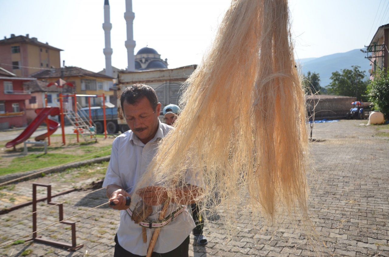 Kastamonu’da Kenevir Ekimi Başladı