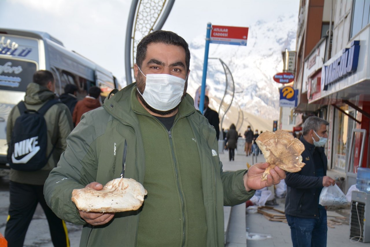 Hakkari’de Yılın İlk Mantarı Piyasaya Çıktı