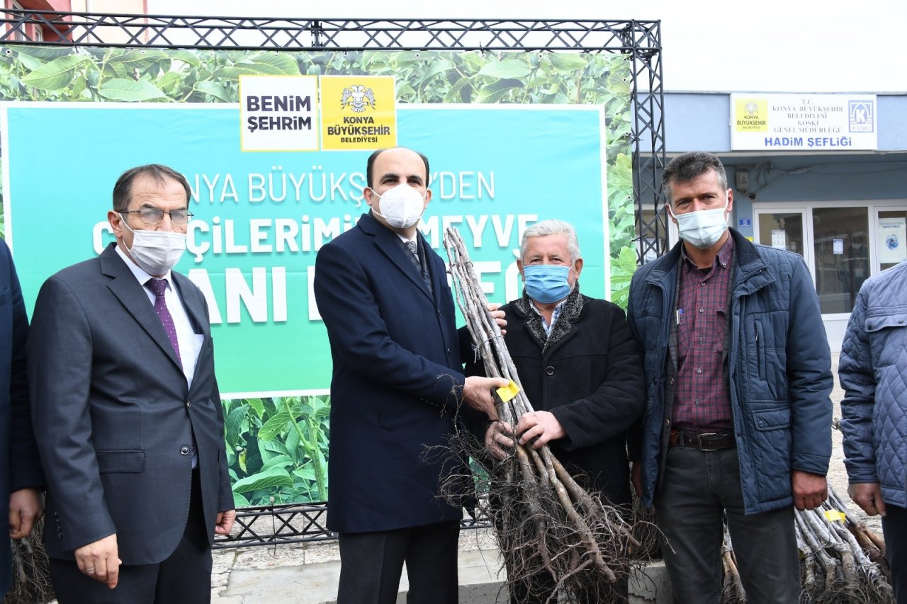 Başkan Altay, Hadimli Çiftçilere Sertifikalı Ceviz Fidanı Dağıttı